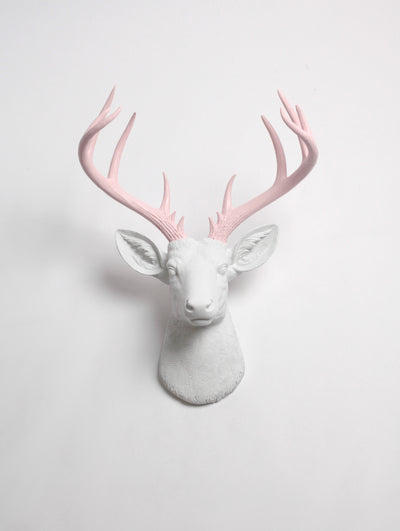 XL Faux Deer Head with Blush Pink Antlers. white Resin XL Deer Head Mount, Cameo Pink Antler Decor