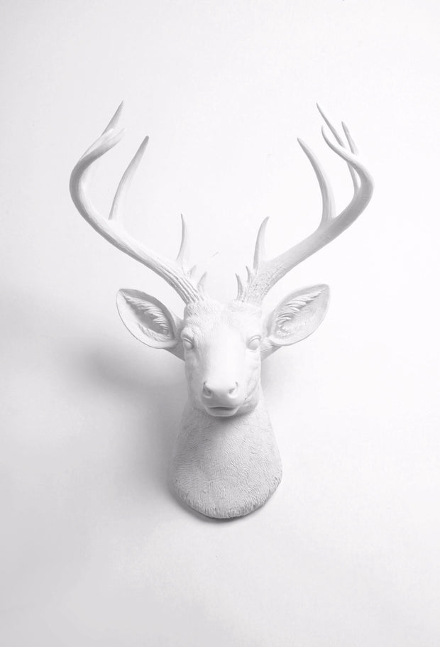 Large Fake Taxidermy White Deer Head Decor, The XL Templeton