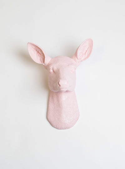 Cameo Pink Girl Deer Head Wall Mount, The Ophelia Doe : Cameo-Pink Resin faux doe deer head without antlers wall sculpture by White Faux Taxidermy