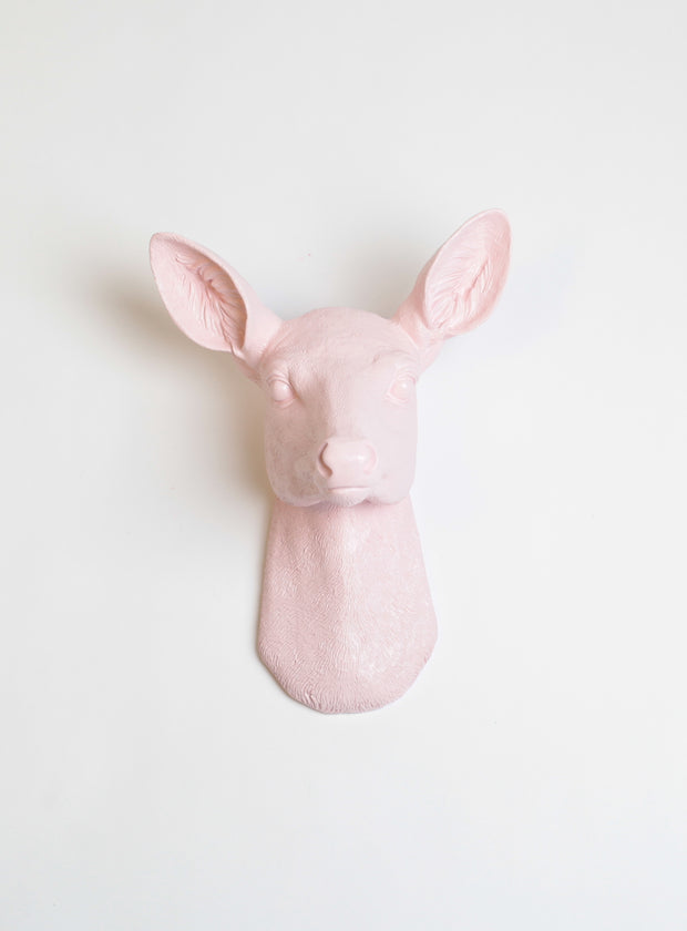 Cameo Pink Girl Deer Head Wall Mount, The Ophelia Doe : Cameo-Pink Resin faux doe deer head without antlers wall sculpture by White Faux Taxidermy