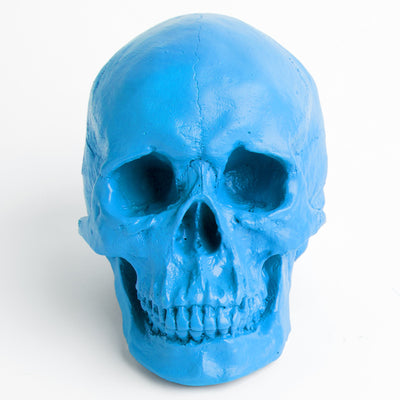 The Fitz in Cobalt | Trendy Victorian Gothic Human Skull Art
