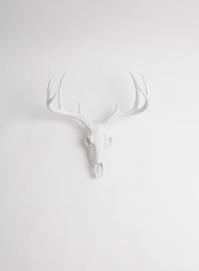 Mini Faux Deer Skull mount in White