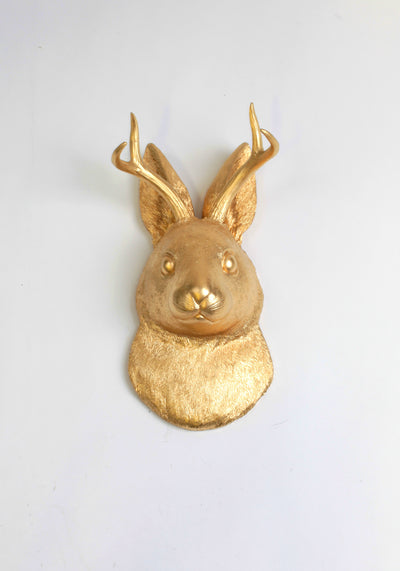 Back in Stock! The Corduroy in Gold  | Jackalope Head | Faux Taxidermy | Gold Resin