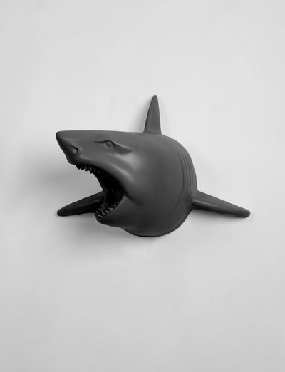 The Lewie in Black | Faux Taxidermy Shark Head