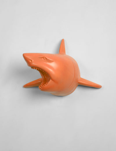 The Lewie in Tangerine - Tangerine Resin Shark Head- Shark Resin Orange Faux Taxidermy- Chic & Trendy Fish Mount