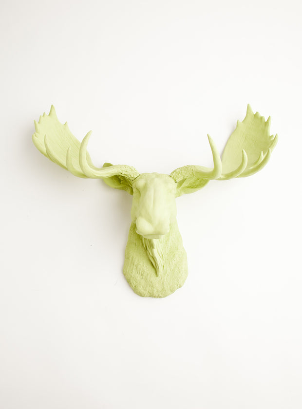 Back in Stock! The Nico | Moose Head | Faux Taxidermy | Mint Green Resin