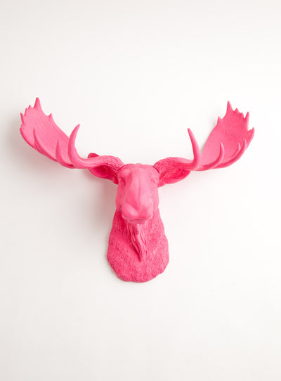 18.5" tall pink faux moose head wall mount, The Phillipa