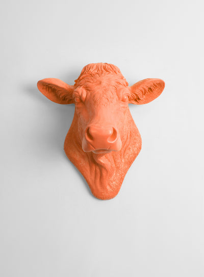 Back in Stock! The Bessie in Tangerine, Cow Head Wall Decor