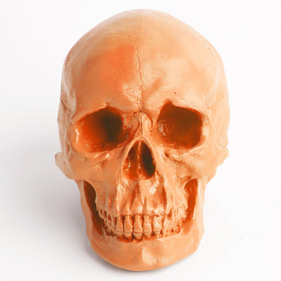 The Fitz in Tangerine | Trendy Victorian Gothic Human Skull Art