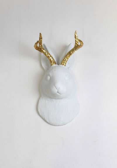 Back in Stock! The Corduroy in White w/Gold Glitter  | Jackalope Head | Faux Taxidermy | White Resin