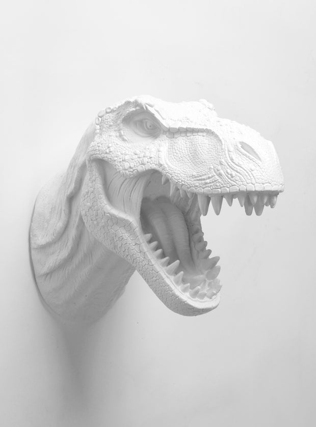 White Dinosaur Head Wall Hanging Decoration by WhiteFauxTaxidermy.  The Bronson.
