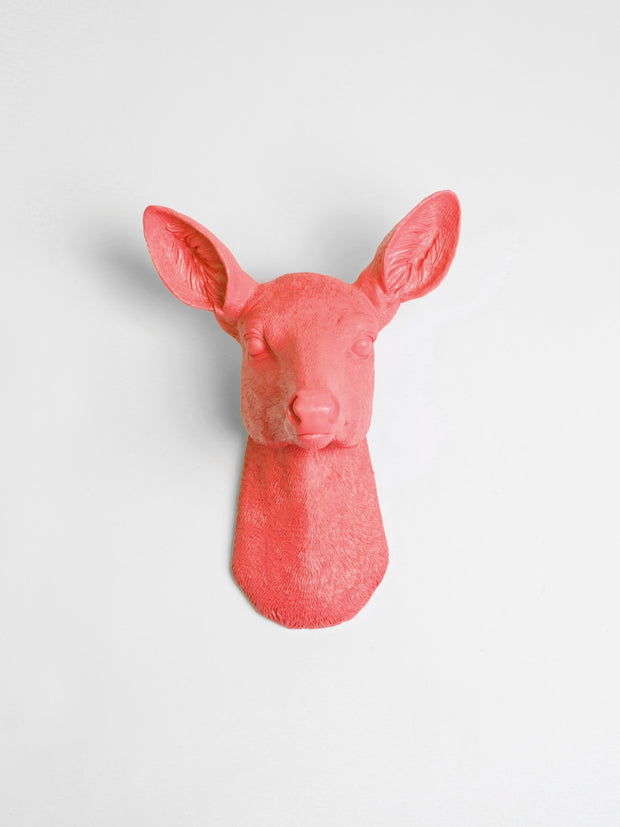 Coral-Orange Resin faux doe deer head without antlers wall sculpture by White Faux Taxidermy