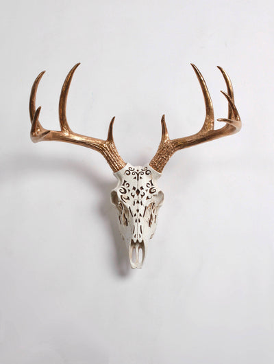 Filigree Deer Skull Wall Mount with Gold Antlers