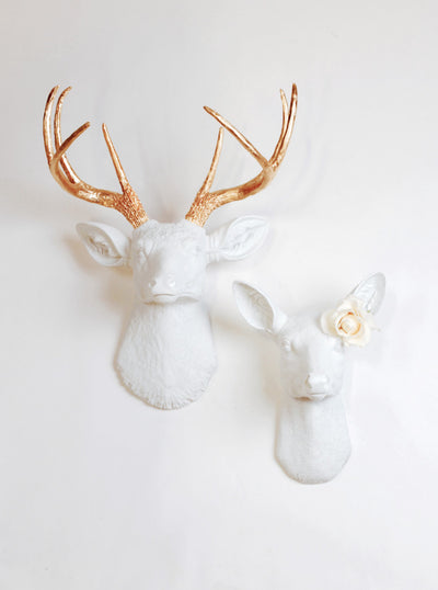 Buck & Doe Set Wall Mount. The Alfred & Ophelia (His and Hers) Stag & Buck Bedroom Wall Decorations. Note: Rose Not Included.