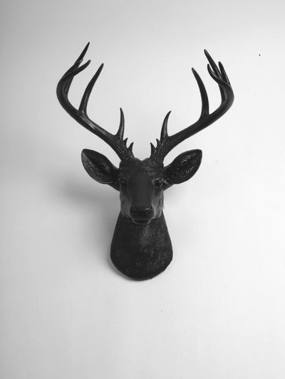 Extra Large Black Deer Head Wall mount, The Ignatius
