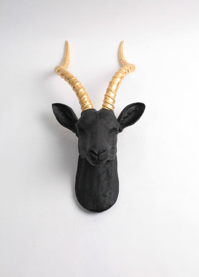 The Franny in Black + Gold | XL Antelope Head Wall Mount | Gazelle Faux Taxidermy