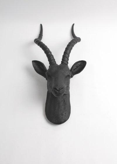 The Franny in Black | XL Antelope Head Wall Mount | Gazelle Faux Taxidermy | Black Resin