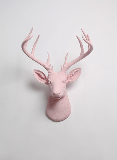 Extra Large Cameo Pink Deer head. Light Blush Pink Stag head Wall Decor