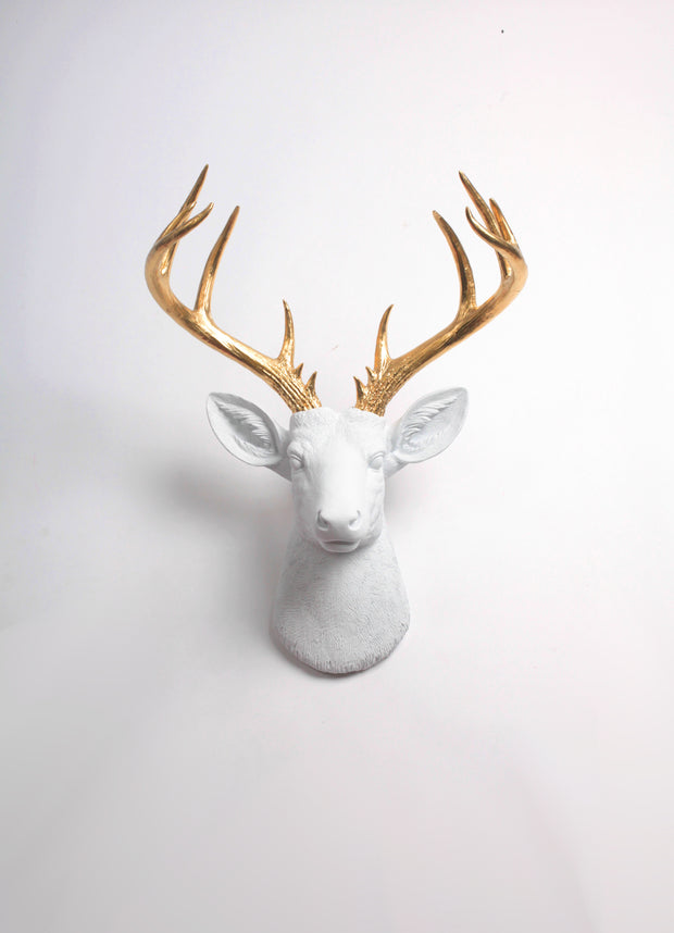 white Resin XL Deer Head Mount, Gold Antler Decor. The Alfred Stag Head Wall Hanging