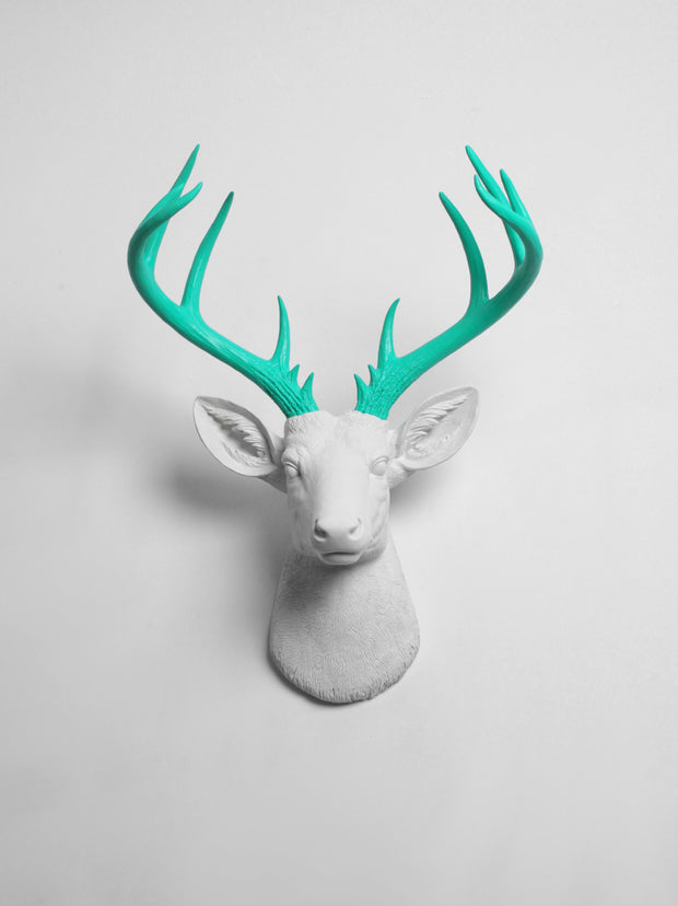 White Faux Deer Head with Turquoise Resin Deer Antlers. XL Oleg with Turquoise Antlers