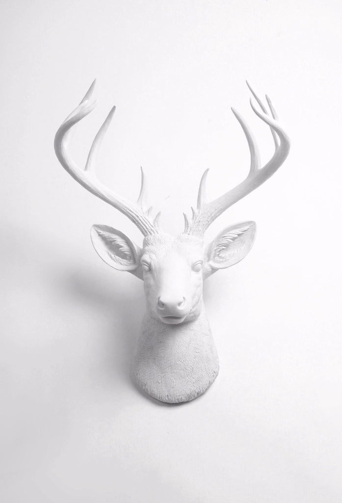  White Faux Taxidermy X Large Deer Head Wall Mount, The XL  Alexandr Deer Wall Mount Sculpture