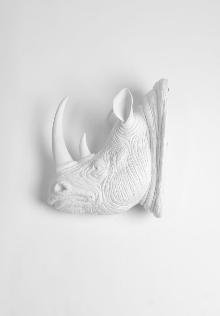 White Rhino, Gold Horn Wall Mount — JOHNNIE Q