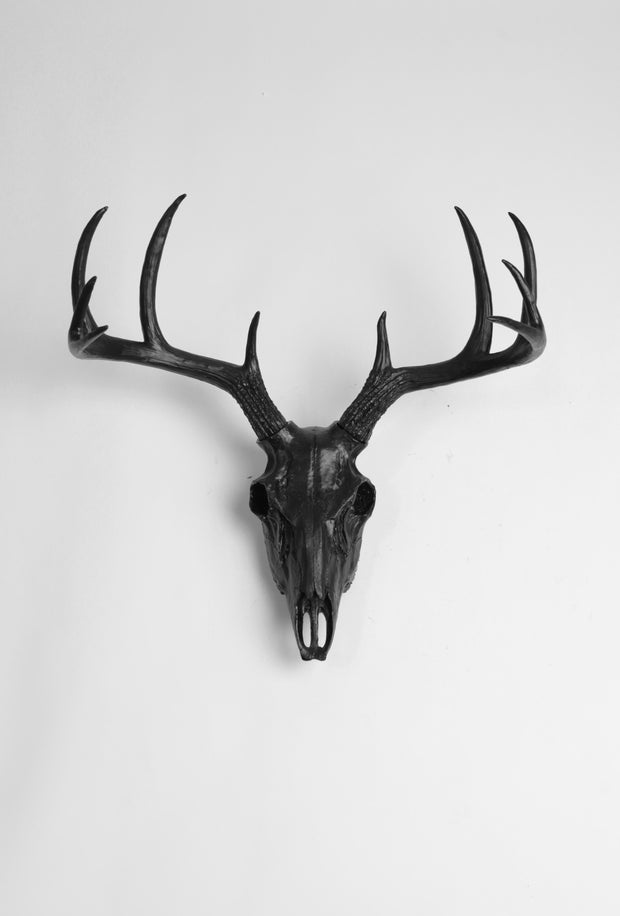 faux deer skull wall mount in black.  Black resin animal skull decoration