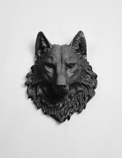 Faux Wolf Head The Lincoln in Black -- Resin Wolf Mount by White Faux Taxidermy - Chic & Trendy Faux Animal Heads