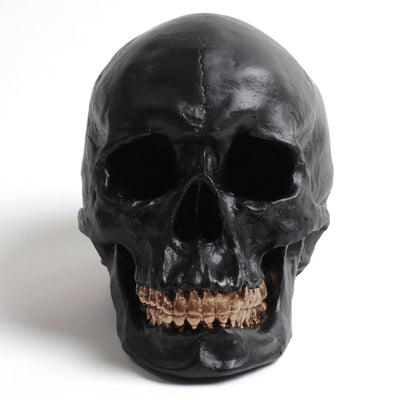 The Fitz in Black with Bronze Teeth | Trendy Victorian Gothic Human Skull Art