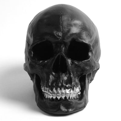 The Fitz in Black with Silver Teeth | Trendy Victorian Gothic Human Skull Art