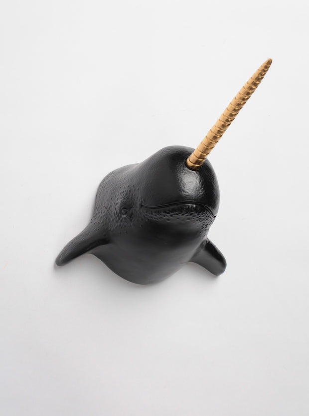 Black Narwhal Head with Gold Horn