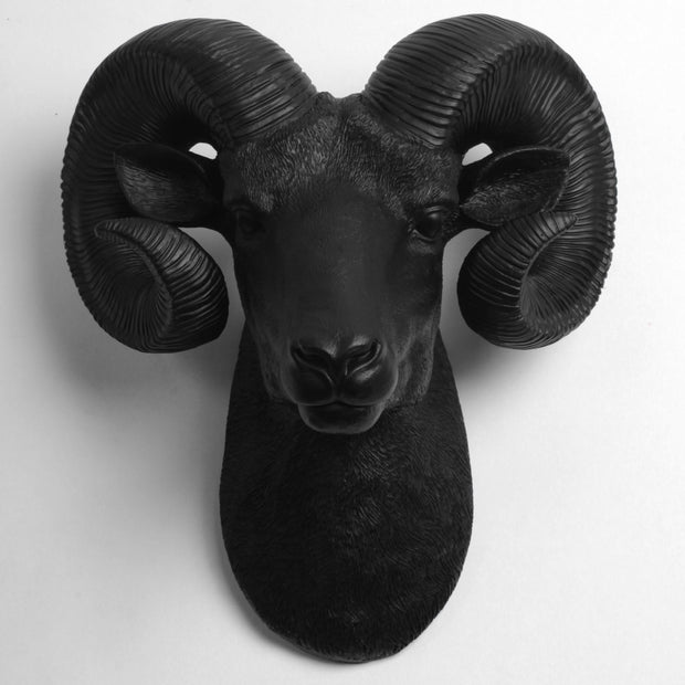 The Darby in Black - XL Ram Head | Bighorn Sheep Modern Farmhouse Decor