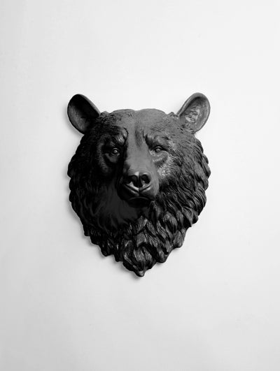 The Nordi | Bear Head | Faux Taxidermy | Black Resin