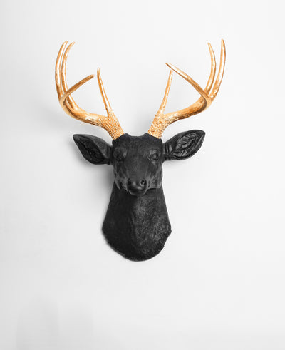 faux deer head wall decoration, black head with gold antler decor