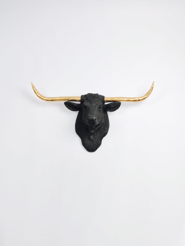 Black Longhorn Head Wall Mount with Gold Horns
