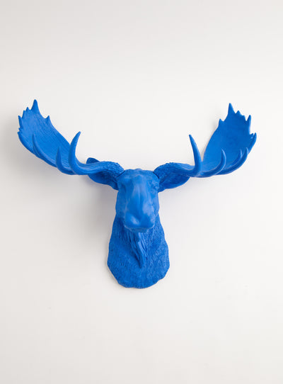 large Faux Blue Moose Head Wall Mount Decor, 18.5"