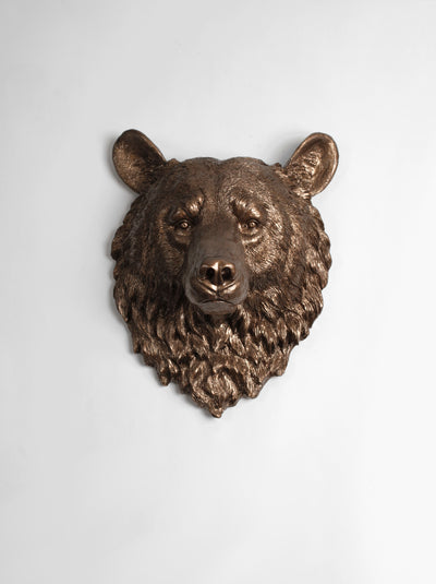The Alberta | Bear Head | Faux Taxidermy | Bronze Resin