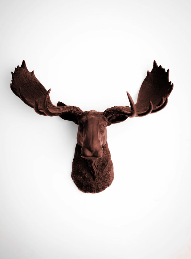 Brown Moose Head Wall Hanging