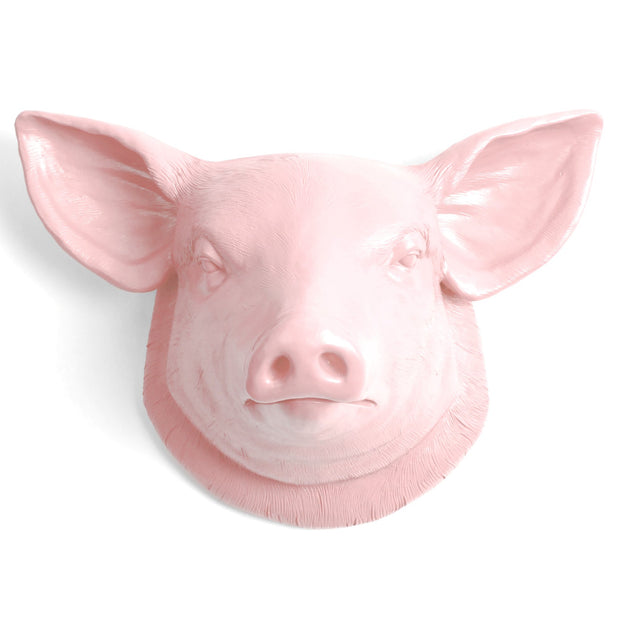 cameo-pink modern farmhouse pink pig head wall decor