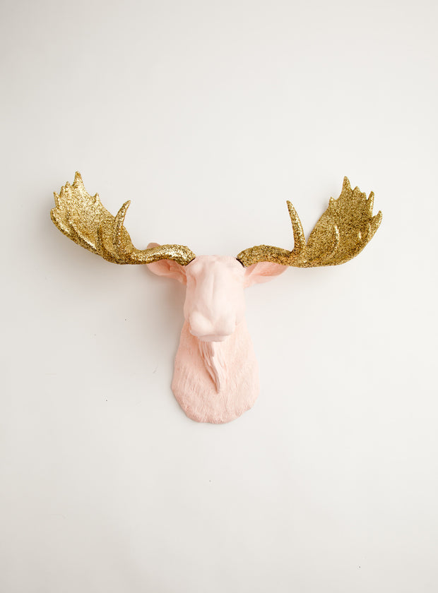 Cameo Pink & Gold Glitter Moose Head Mount