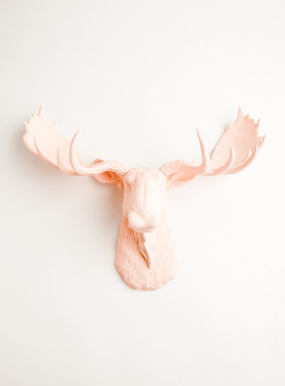 Cameo Pink Faux Moose Head Wall Decor