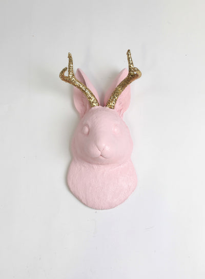 (PRE-SALE) The Corduroy in Cameo Pink w/Gold Glitter Antlers  | Jackalope Head Faux Taxidermy