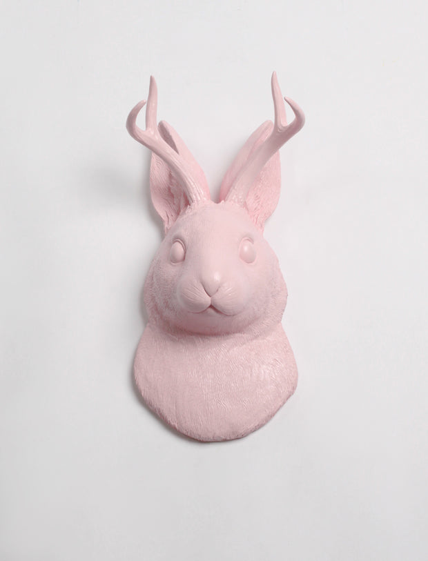 Back in Stock! Jackalope Head Wall Hanging | The Corduroy in Cameo Pink, Faux Jackalope | Animal Friendly Resin Bunny Head Decor Wall Mount Decor