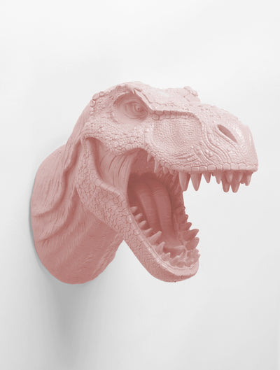 Cameo Pink T rex Head Wall Hanging