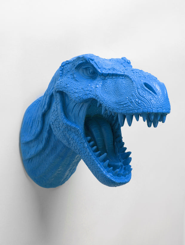 Trex Dinosaur Trophy Form in Blue