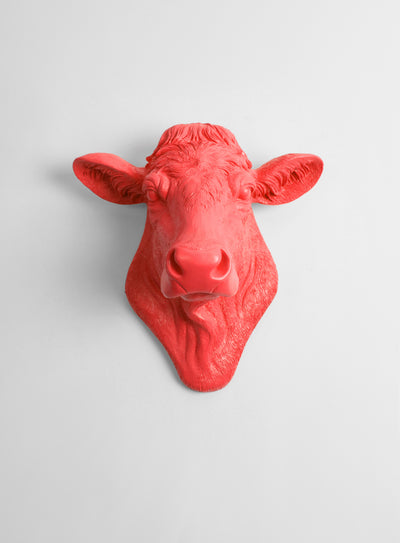 Back in Stock! The Bessie in Coral, Cow Head Wall Decor