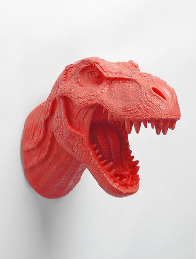 T rex head dinosaur trophy head wall mount in Coral Orange