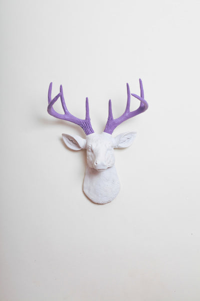 mini deer head with lavender antlers, Mini Wyatt