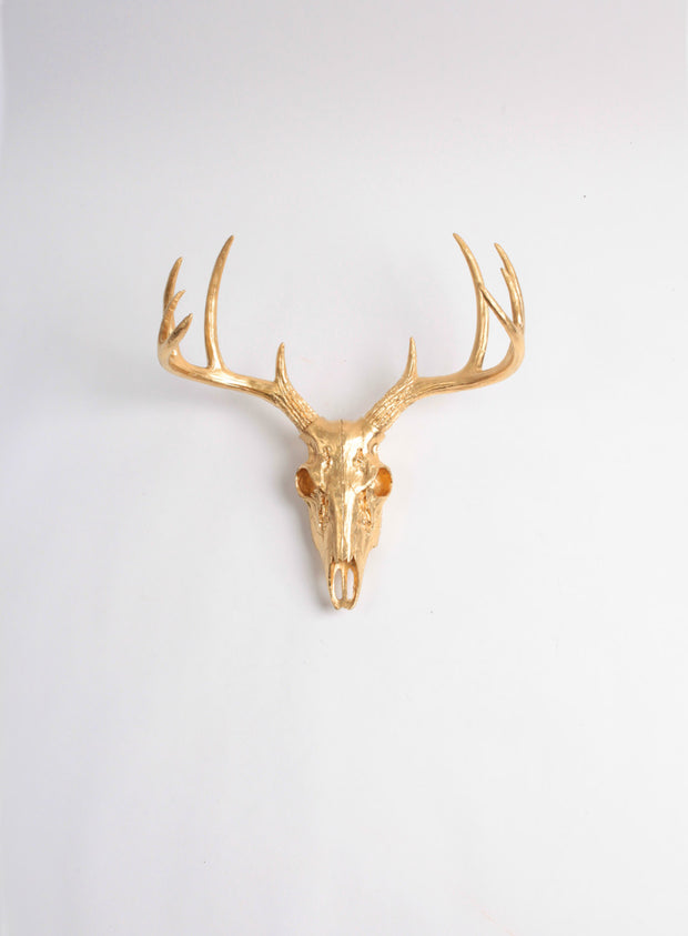 Mini Faux Deer Skull mount in Gold