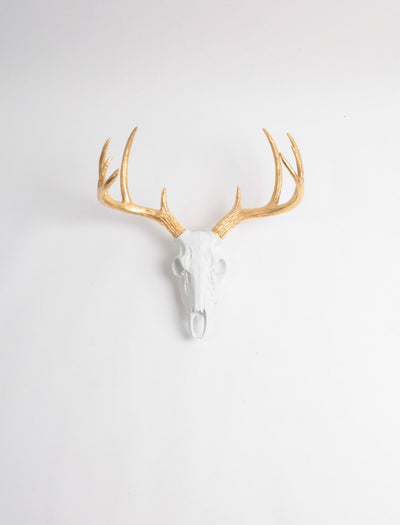 Mini Faux Deer Skull mount in White & Gold Antlers